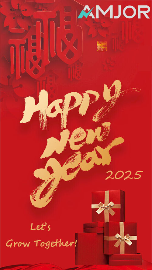 Latest company news about 2025 Happy New Year： New Year，New Oppotunity